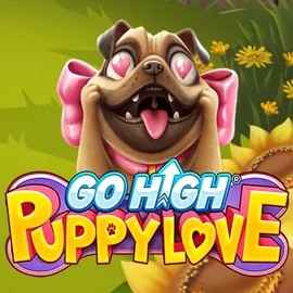 Play Go High Puppy Love slot by RubyPlay on unicpt.com