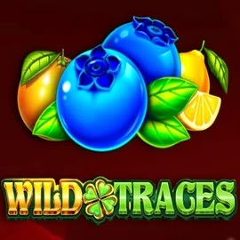 Wild Traces – slot by Amusnet Interactive, featured at unicpt.com